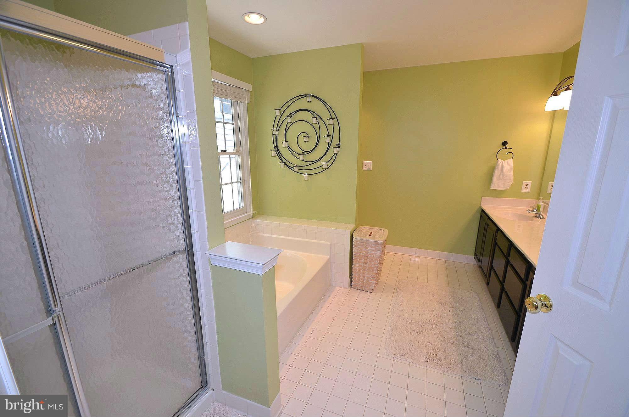 1764 Rochester Street Crofton, MD 21114 - Photo 16 of 29 Bath (Master)