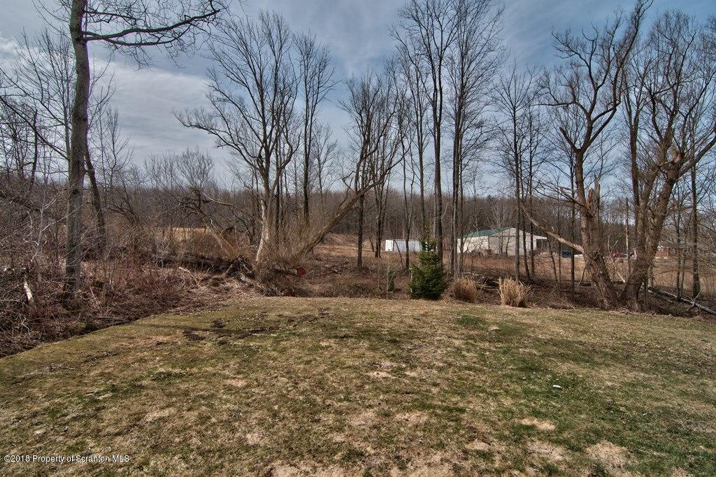 2050 Reservoir Road Moscow, PA 18444 - Photo 9 of 44 a view of a yard with a large tree