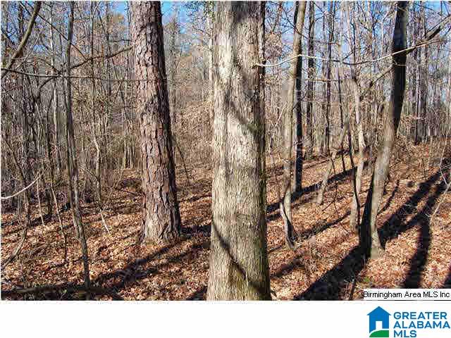 5 Highway Ac Al, Unit 96 23 Woodstock, AL 35188 - Photo 12 of 20