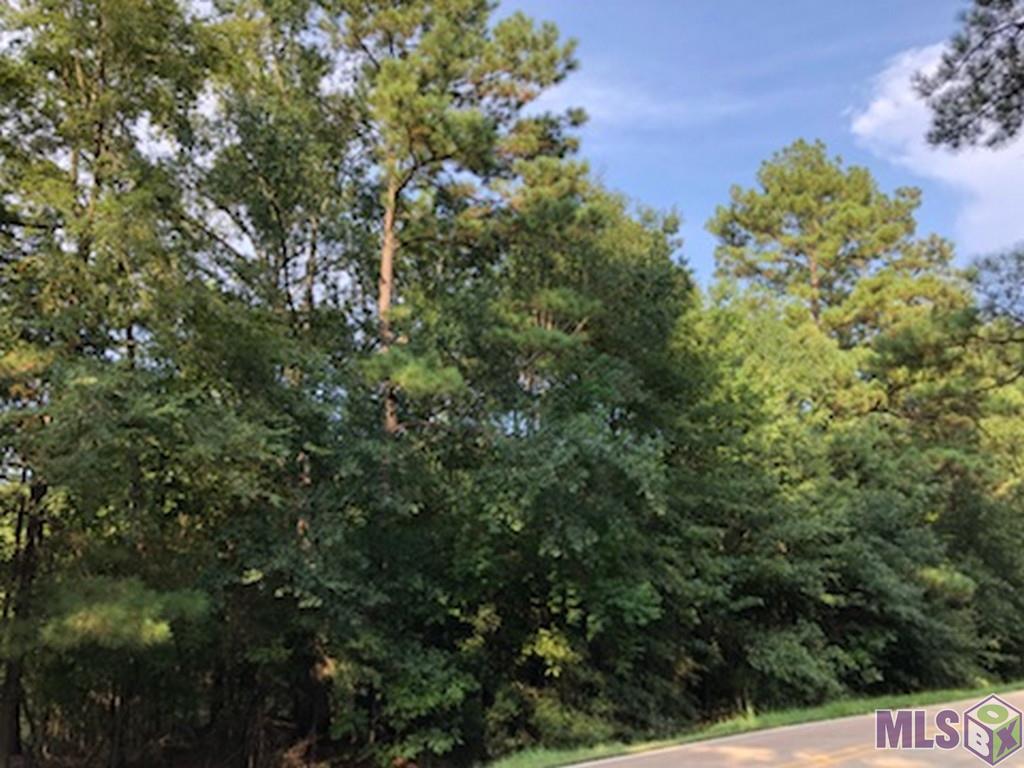 Lot 3 Carson Road Greenwell Springs, LA 70739 - Photo 2 of 8 Gallery Image 2