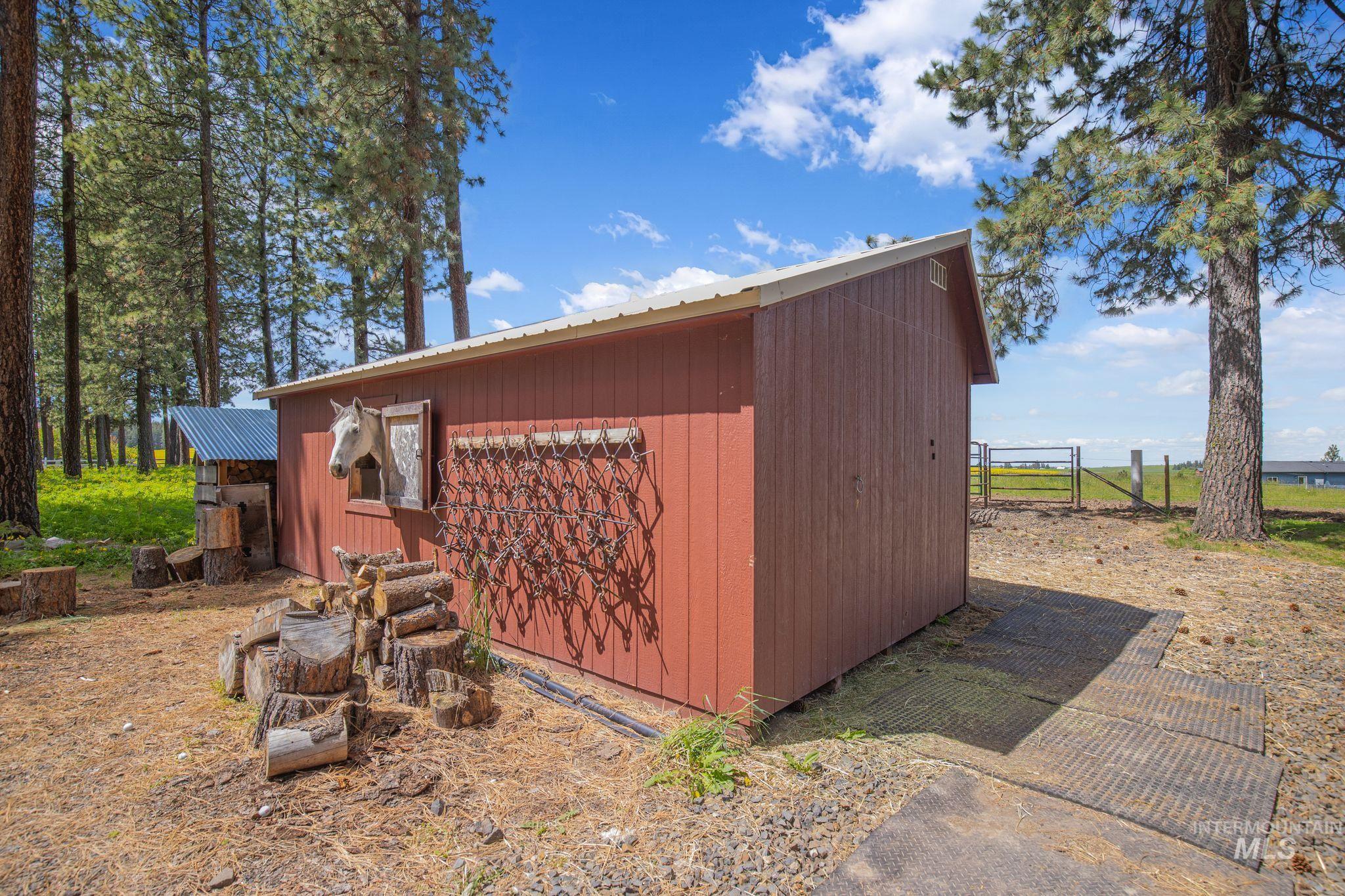 Red-sided shed with a white metal roof, surrounded by mature pine trees and open land with fencing