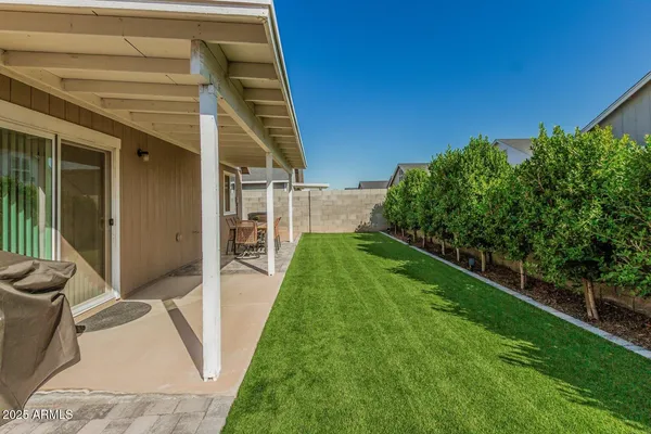 a backyard of a house with plants and large tree