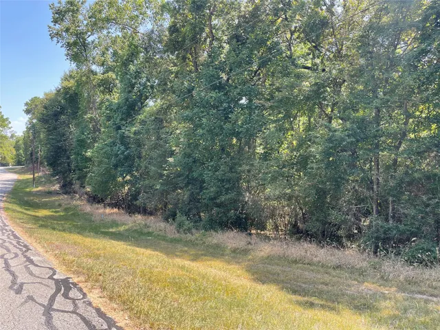 $9,524 | Tbdd Valleyview Drive, Onalaska, TX 77360