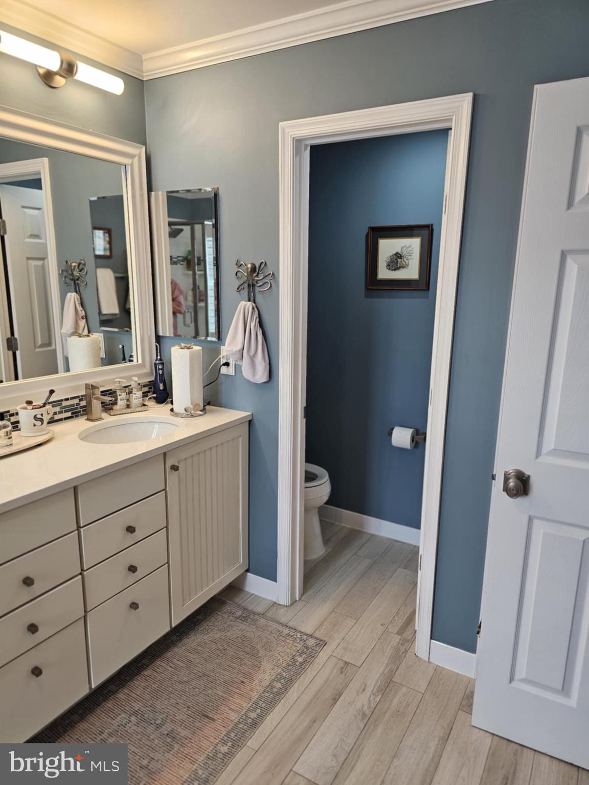 20 Inkberry Circle Gaithersburg, MD 20877 - Photo 28 of 50 Primary Ensuite Bathroom