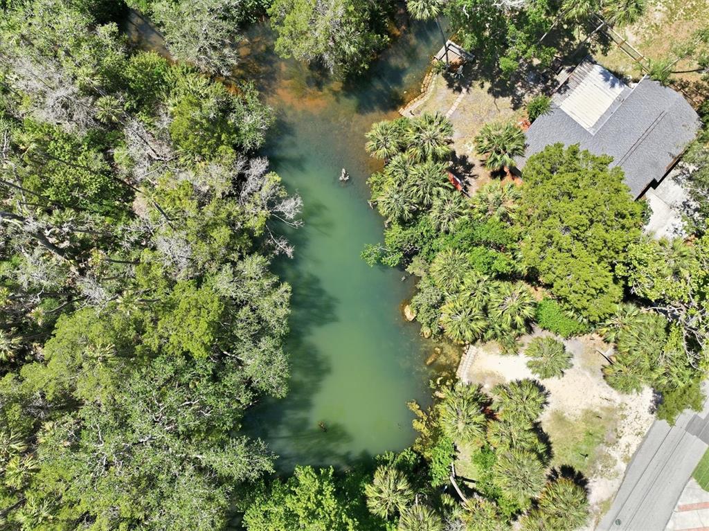 6240 Colony Circle Weeki Wachee, FL 34607 - Photo 13 of 15