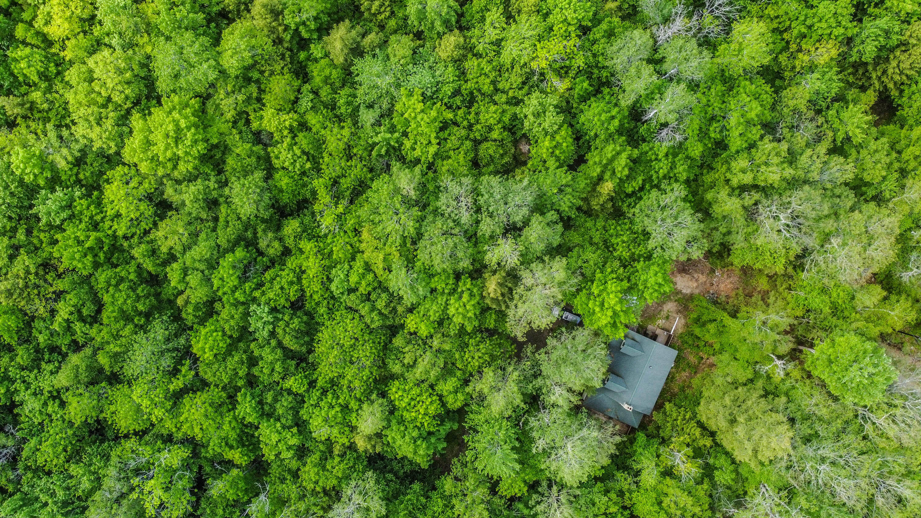 142 5 Kezar Ponds Road Waterford, ME 04088 - Photo 68 of 73 20220610gp-67038