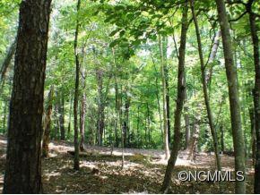 244 Quail Ridge Road, Unit 244 Lake Lure, NC 28746 - Photo 11 of 19 Gallery Image 11