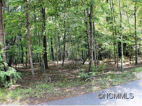 244 Quail Ridge Road, Unit 244 Lake Lure, NC 28746 - Photo 12 of 19 Gallery Image 12