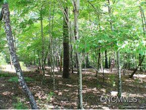 244 Quail Ridge Road, Unit 244 Lake Lure, NC 28746 - Photo 4 of 19 Gallery Image 4