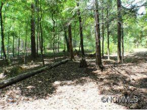 244 Quail Ridge Road, Unit 244 Lake Lure, NC 28746 - Photo 7 of 19 Gallery Image 7