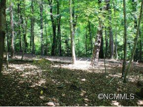 244 Quail Ridge Road, Unit 244 Lake Lure, NC 28746 - Photo 8 of 19 Gallery Image 8