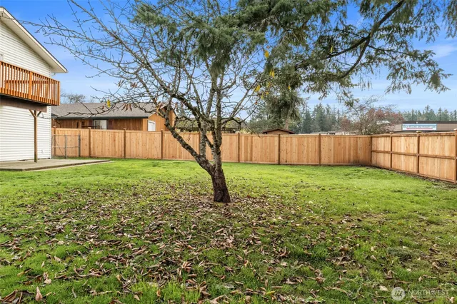a view of a backyard with large tree and wooden fence