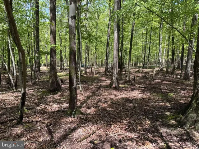 $29,900 | 0 West Algonquin Drive, Hazleton, PA 18202