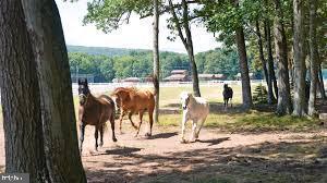 0 West Algonquin Drive Hazleton, PA 18202 - Photo 3 of 14