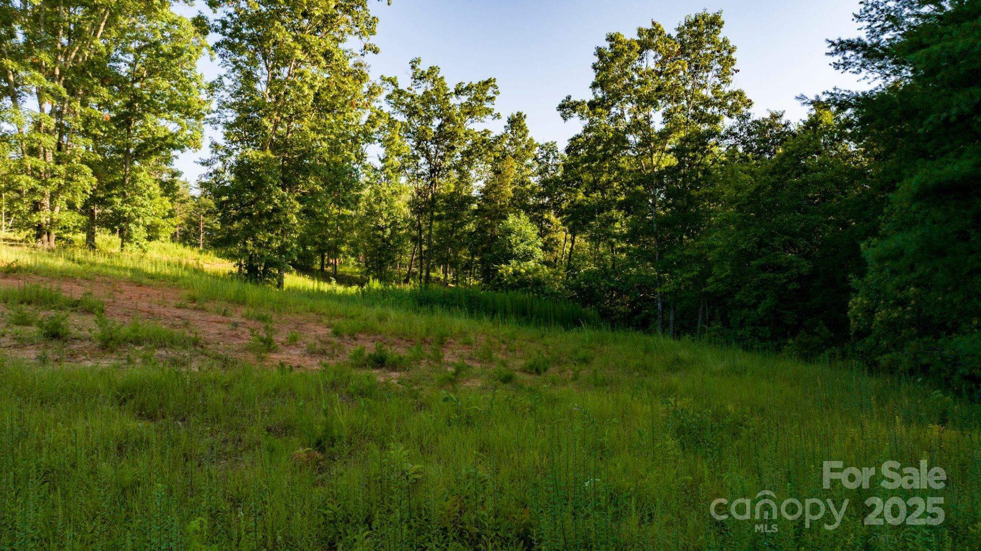 1106 Table View Drive Morganton, NC 28655 - Photo 11 of 12 a view of a lush green space
