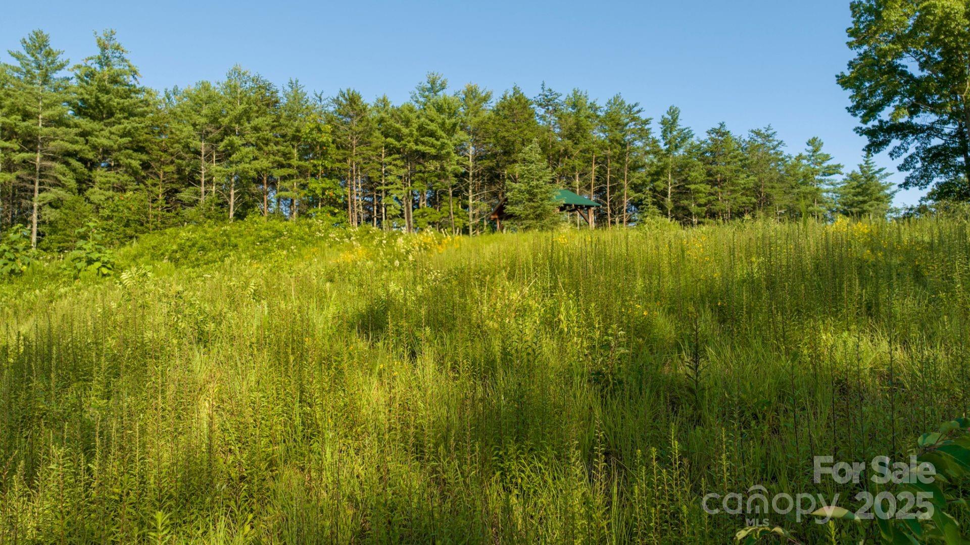 1106 Table View Drive Morganton, NC 28655 - Photo 12 of 12