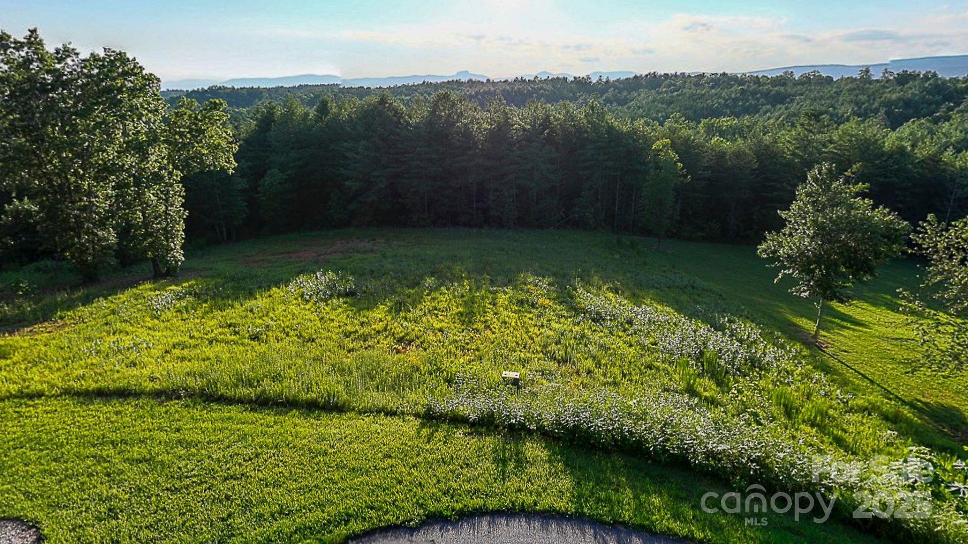 1106 Table View Drive Morganton, NC 28655 - Photo 3 of 12 a view of a garden with a lake