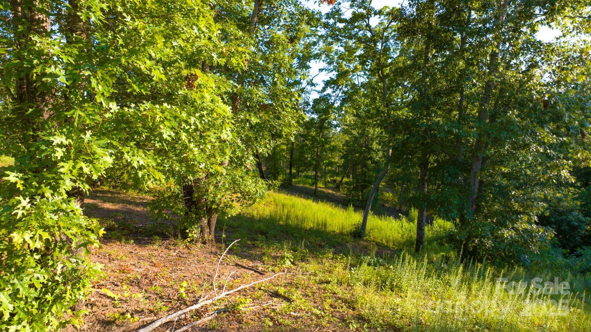 1106 Table View Drive Morganton, NC 28655 - Photo 7 of 12 a view of swimming pool from a yard