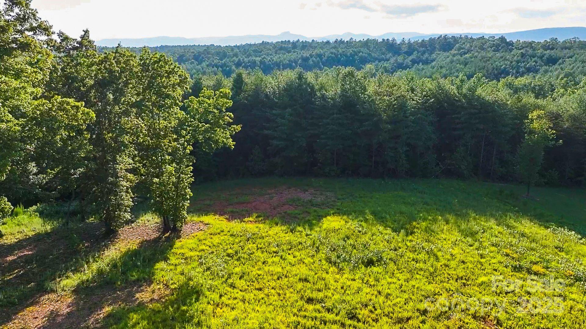 1106 Table View Drive Morganton, NC 28655 - Photo 8 of 12 a view of a lake with a mountain in the background