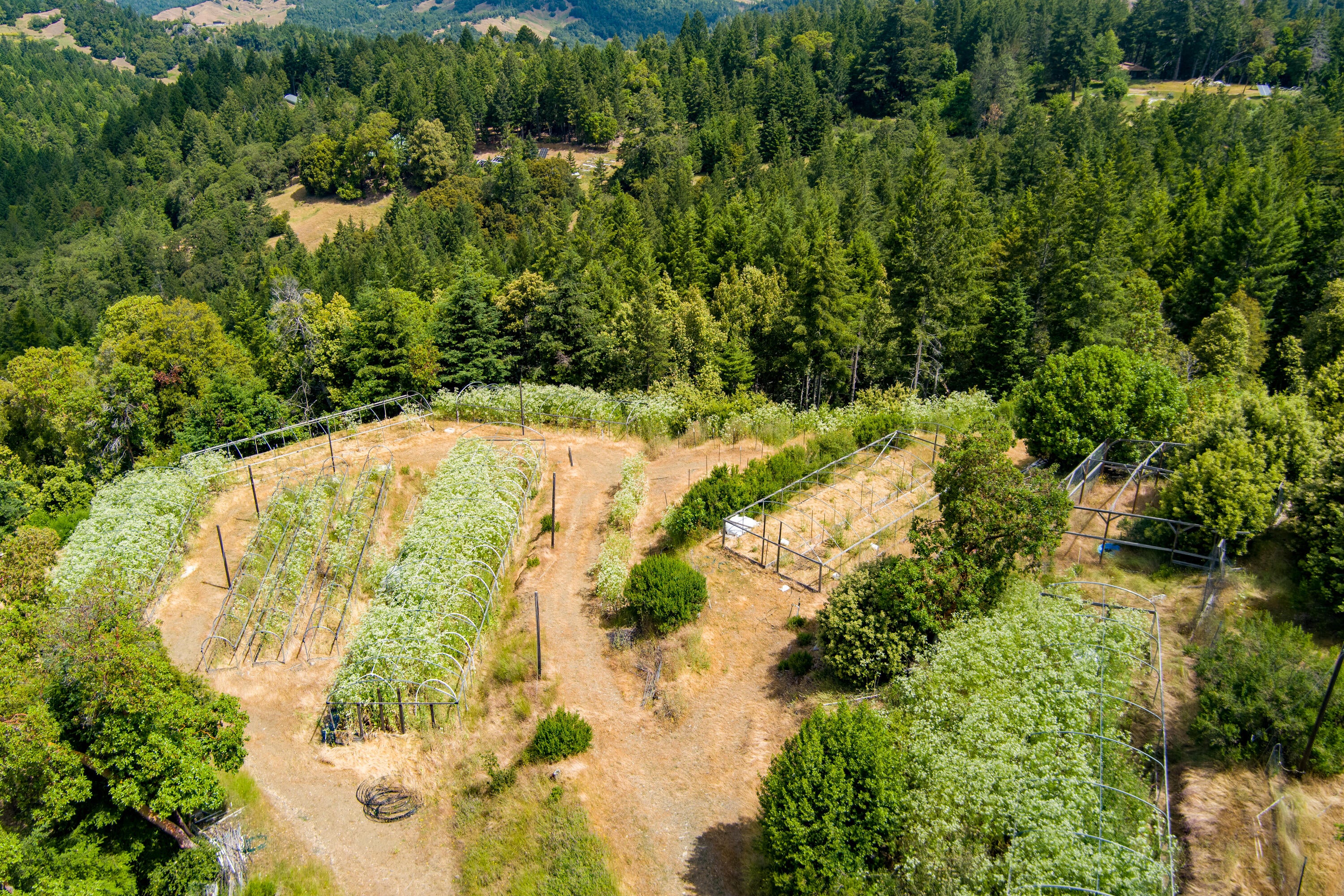 3761 Blue Rock Road Garberville, CA 95542 - Photo 73 of 85 Gallery Image 73