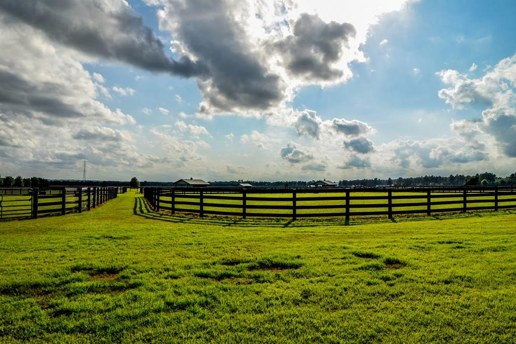 491 Burkelo Road Salley, SC 29137 - Photo 43 of 48