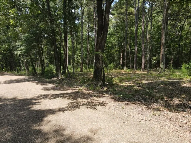 $25,000 | 0 German Bayou Road, Marksville, LA 71351