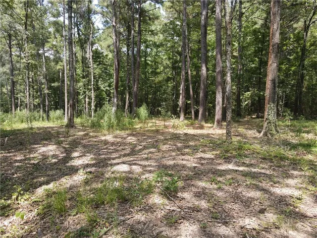 $25,000 | 0 German Bayou Road, Marksville, LA 71351
