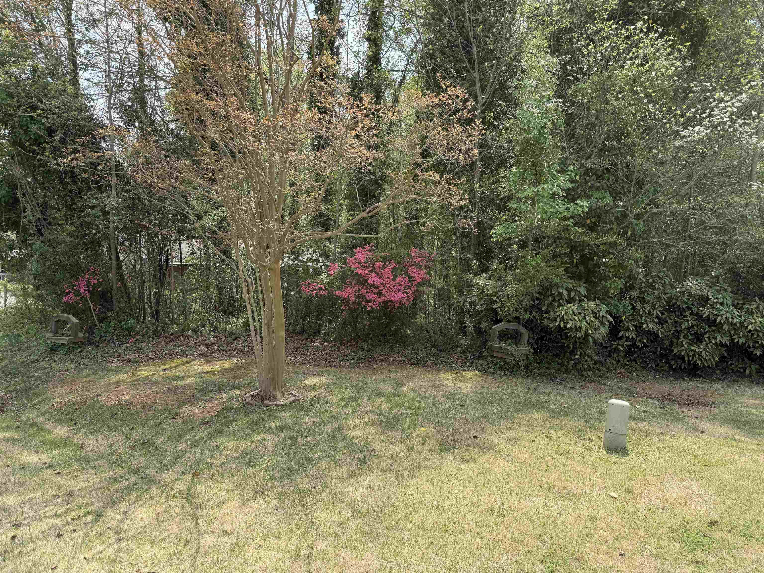 220 Trenton Road Gaffney, SC 29340 - Photo 11 of 26