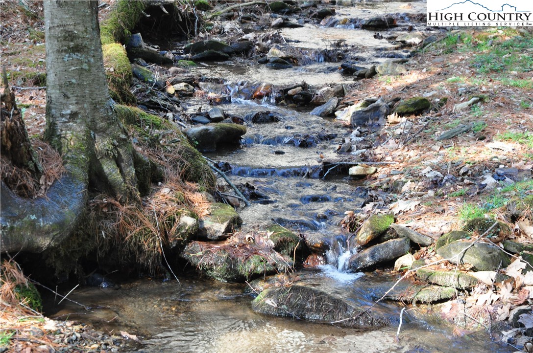 326 Deer Ridge Lane Sparta, NC 28675 - Photo 2 of 49