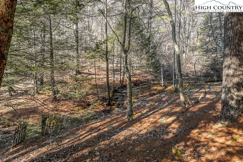 326 Deer Ridge Lane Sparta, NC 28675 - Photo 36 of 49