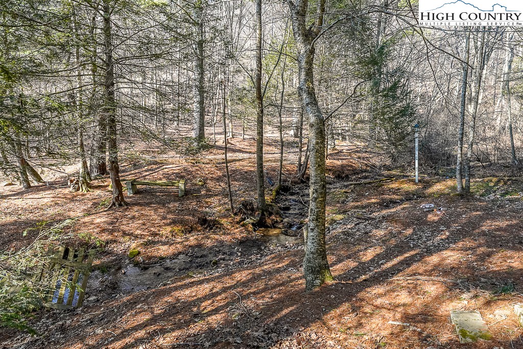 326 Deer Ridge Lane Sparta, NC 28675 - Photo 37 of 49