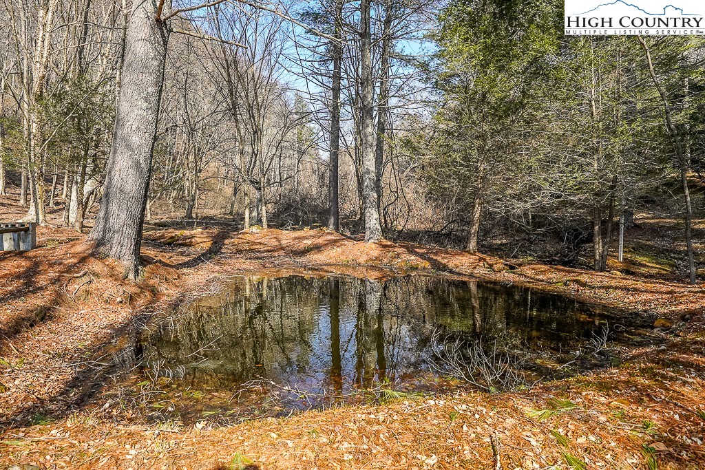 326 Deer Ridge Lane Sparta, NC 28675 - Photo 41 of 49