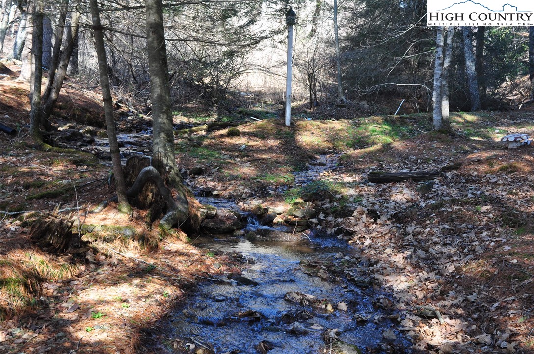 326 Deer Ridge Lane Sparta, NC 28675 - Photo 42 of 49