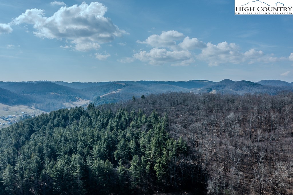 326 Deer Ridge Lane Sparta, NC 28675 - Photo 46 of 49