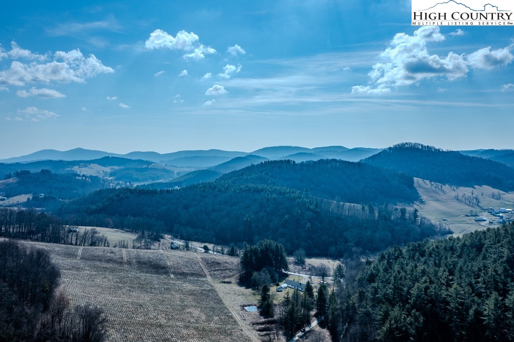 326 Deer Ridge Lane Sparta, NC 28675 - Photo 48 of 49