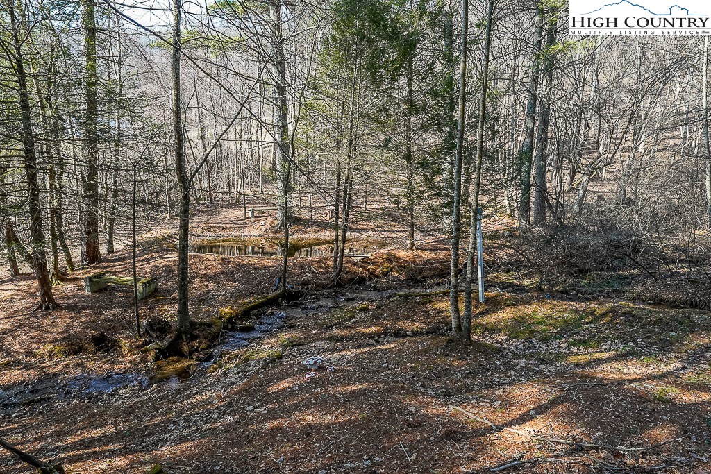 326 Deer Ridge Lane Sparta, NC 28675 - Photo 7 of 49