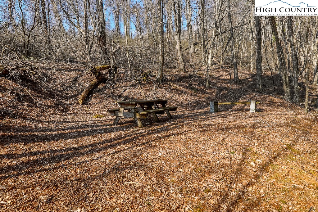 326 Deer Ridge Lane Sparta, NC 28675 - Photo 8 of 49