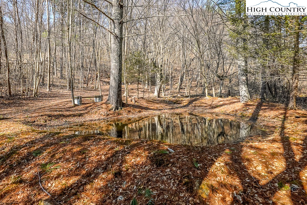 326 Deer Ridge Lane Sparta, NC 28675 - Photo 9 of 49