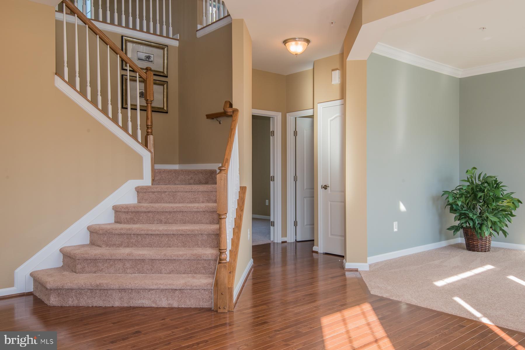 554 Broadneck Road Annapolis, MD 21409 - Photo 18 of 20 Gallery Image 18