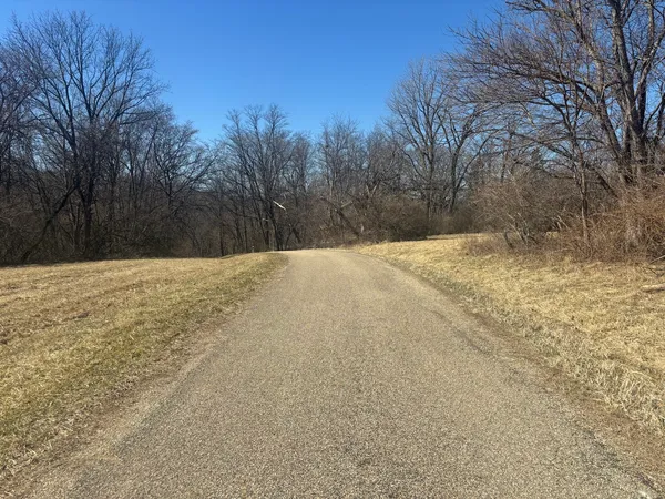 a view of empty space with trees