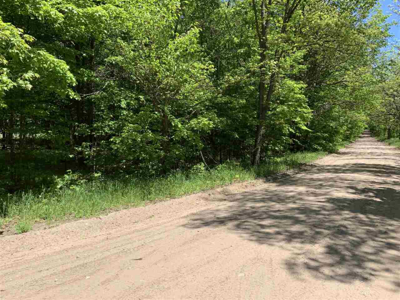 4.05 West Baseline Road Hart, MI 49420 - Photo 1 of 6