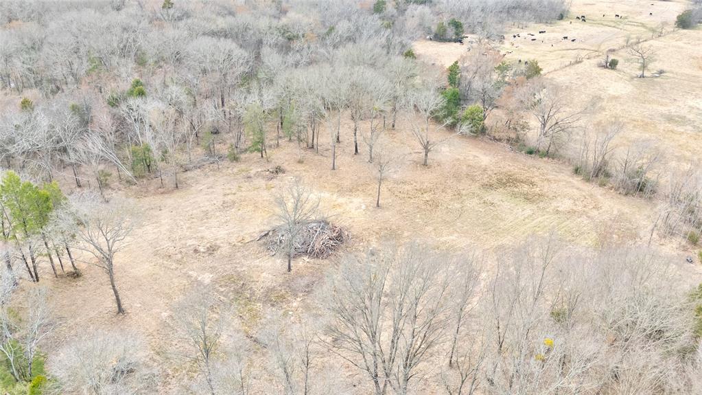 1411 Vz County Road 2139 Wills Point, TX 75169 - Photo 27 of 38