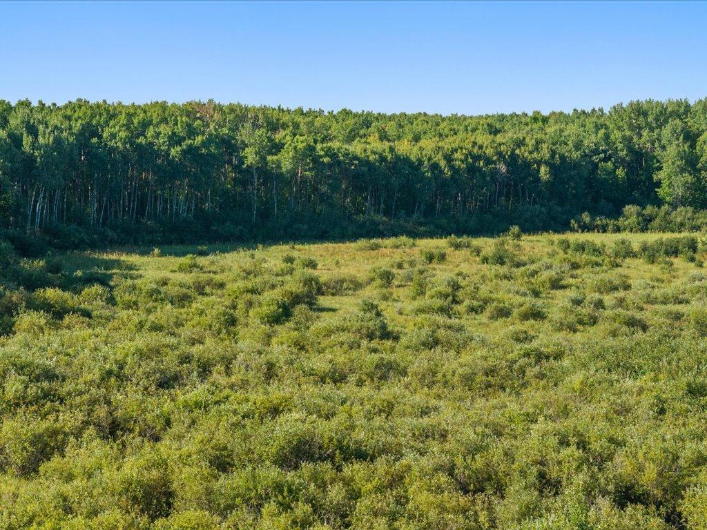 Tbd Meadowview Road Pierz, MN 56364 - Photo 14 of 30 Gallery Image 14