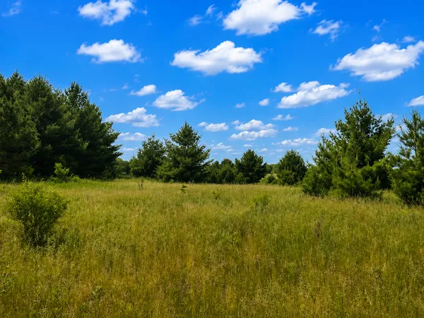 $216,000 | 21-xx 140th Avenue, St. Croix Falls, WI 54024