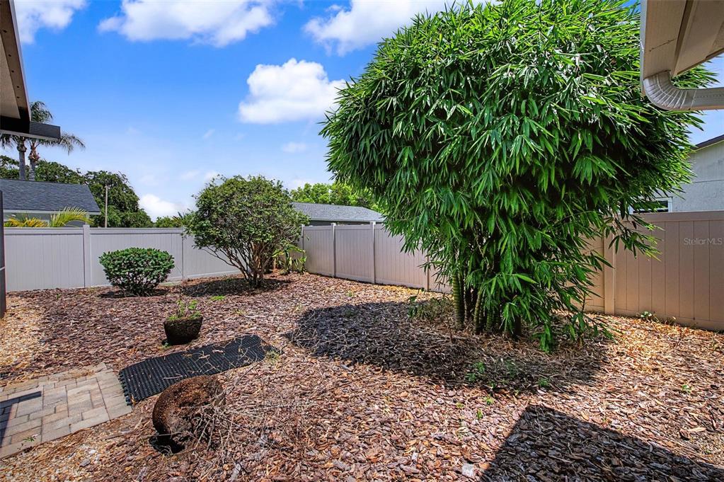 4212 Gray Squirrel Lane New Port Richey, FL 34653 - Photo 28 of 29
