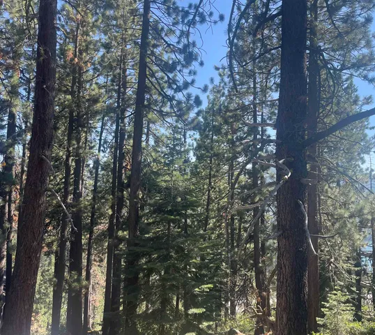 $99,000 | 12552 Richards Boulevard, Truckee, CA 96161