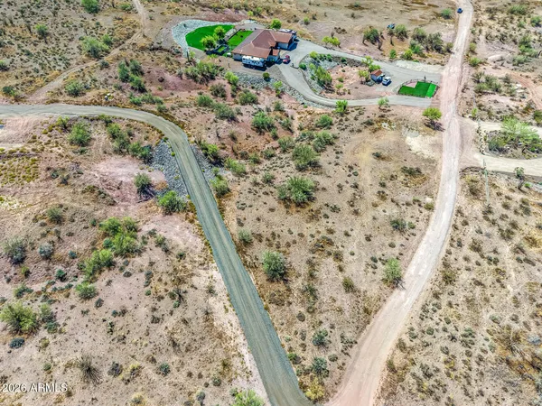 a view of a forest filled with trees