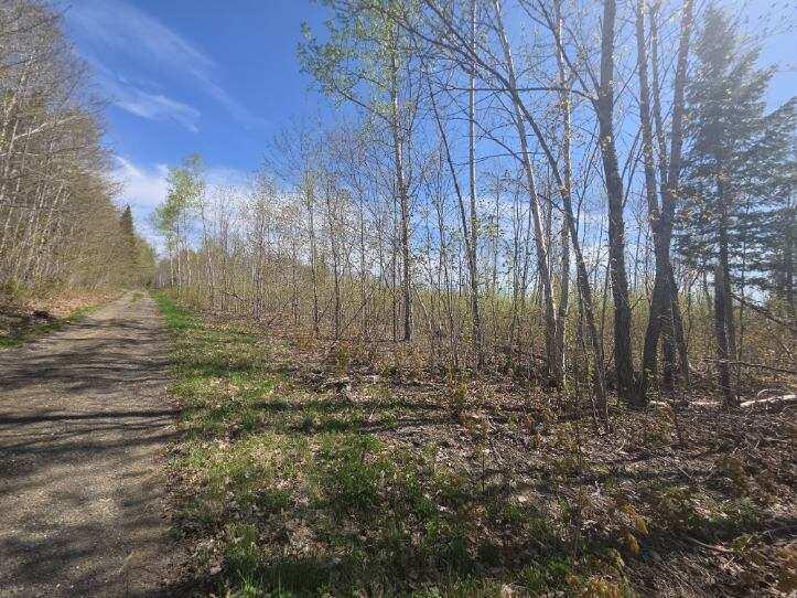 Map4-lot4b Conroy Road Perham, ME 04766 - Photo 1 of 4
