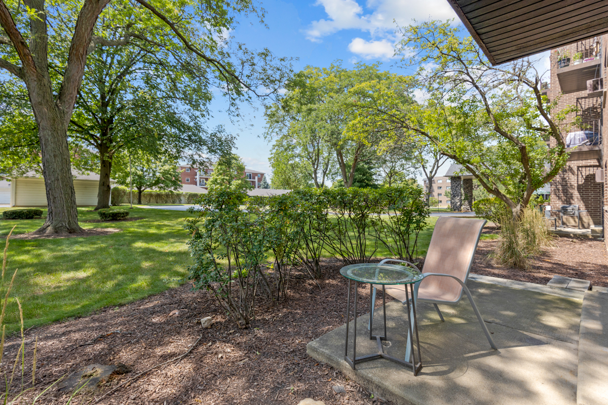 235 North Mill Road, Unit 115B Addison, IL 60101 - Photo 20 of 20