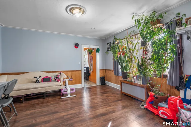 a living room with furniture and a potted plant